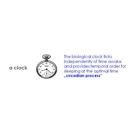 1_1_1_chronohealth_lighttherapy_2process_clock.png