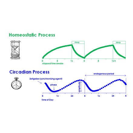 1_1_1_chronohealth_lighttherapy_2process_diagram_model.png