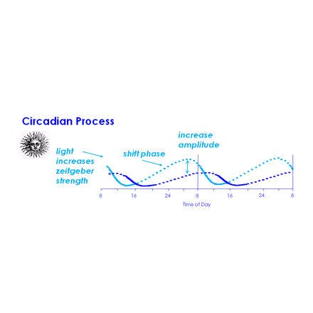 1_1_1_chronohealth_lighttherapy_2process_diagram_model_light_depression.png