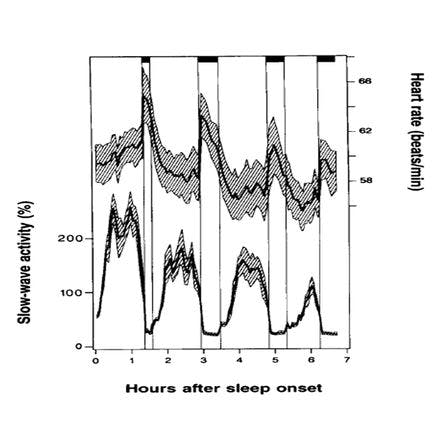 1_1_1_chronohealth_lighttherapy_2process_hr_rem.png