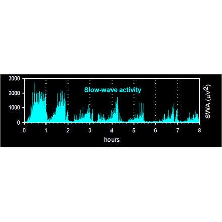 1_1_1_chronohealth_lighttherapy_2process_swa.png