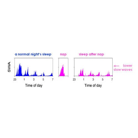 1_1_1_chronohealth_lighttherapy_2process_swa_nap.png