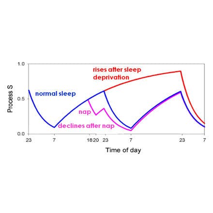 1_1_1_chronohealth_lighttherapy_2process_swa_sdnap_model.png