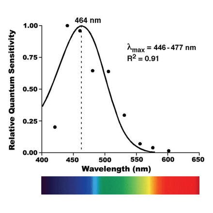 1_3_2_chronohealth_lighttherapy_light goes through the.png