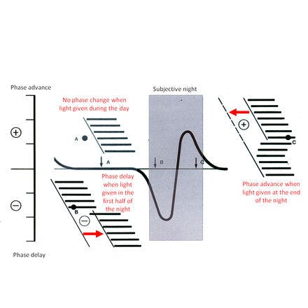 1_3_2_chronohealth_lighttherapy_prc_diagram.png