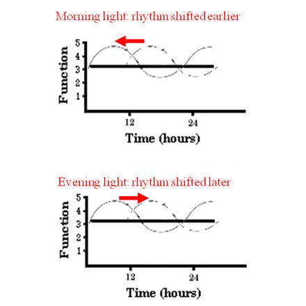 1_3_2_chronohealth_lighttherapy_prc_principle.png