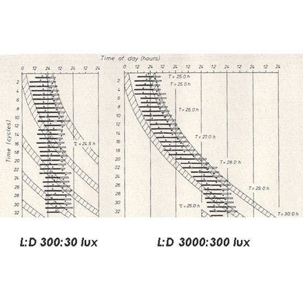 1_3_2_chronohealth_lighttherapy_wever_range.png