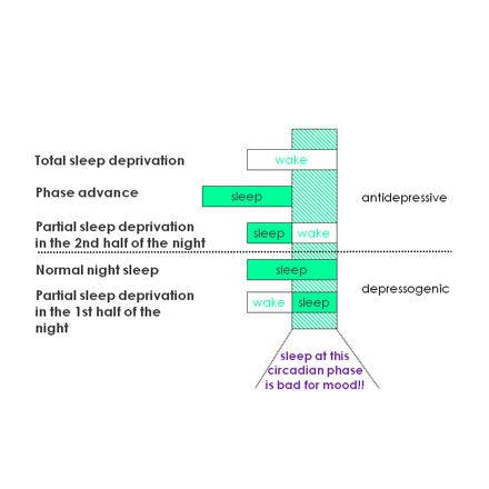 1_4_2_chronohealth_lighttherapy_chronotherapies_timing.png