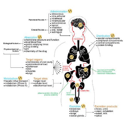 1_5_2_chronohealth_pharm_disposition_drugs.png