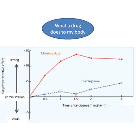 1_5_2_chronohealth_pharm_pharmacodynamics.png