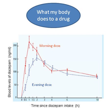 1_5_2_chronohealth_pharm_pharmacokinetics.png