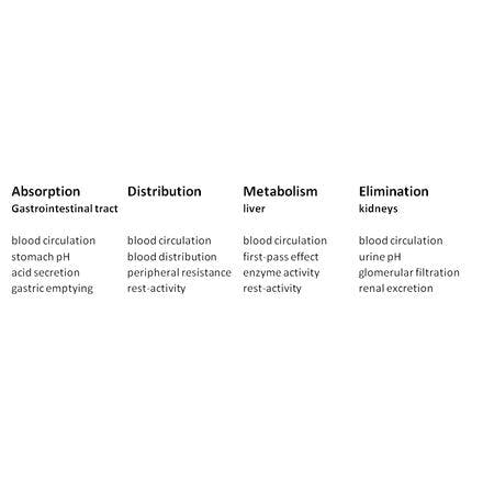 1_5_2_chronohealth_pharm_pharmacokinetics_rhythms.png