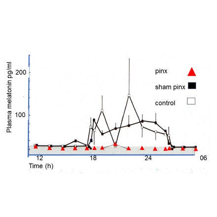 1_6_1_chronohealth_melatonin_18.png