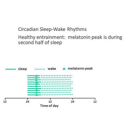 1_6_2_chronohealth_melatonin_2_13.png