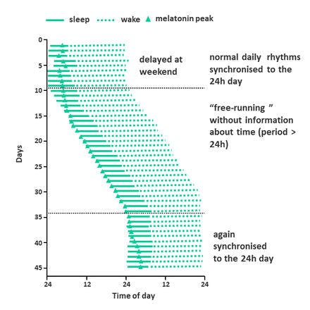 1_6_2_chronohealth_melatonin_2_18.png