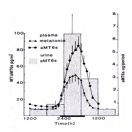 1_6_2_chronohealth_melatonin_2_37.png