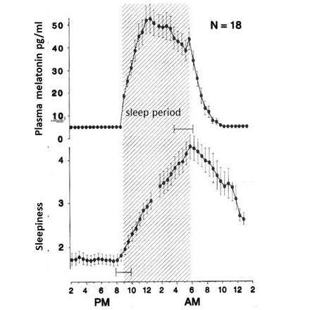 1_6_2_chronohealth_melatonin_2_46.png