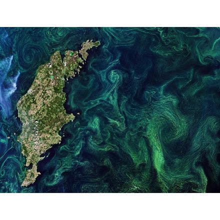 compressed_5_3_1_baltic_algal_bloom.jpg