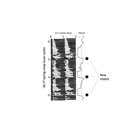 6_1_1_other clocks_lunar and semilunar rhythms_terrestrial lunar and semilunar rhythms_bipolar profile.png