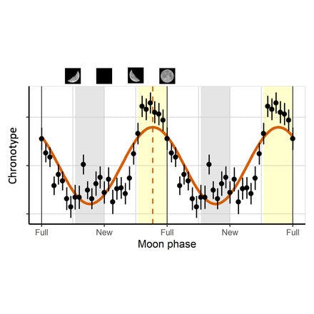 6_1_1_other clocks_lunar and semilunar rhythms_terrestrial lunar and semilunar rhythms_lunar chronotype.png