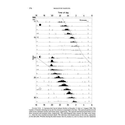 6_2_other clocks_tidal clocks_behaviour physiology and life events_red clawed crabs larvae2.png