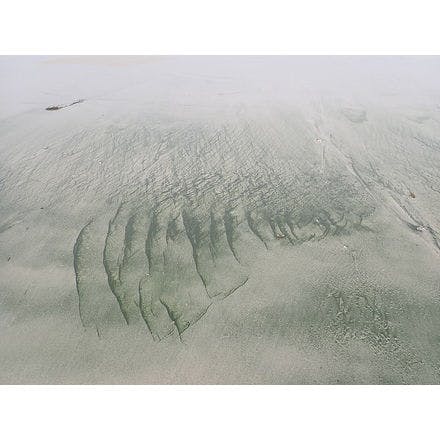 6_2_other clocks_tidal clocks_discovery of tidal clocks_mintworms_3_on sand.png