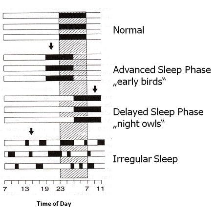 1_1_2_chronohealth_sleep_timing.png