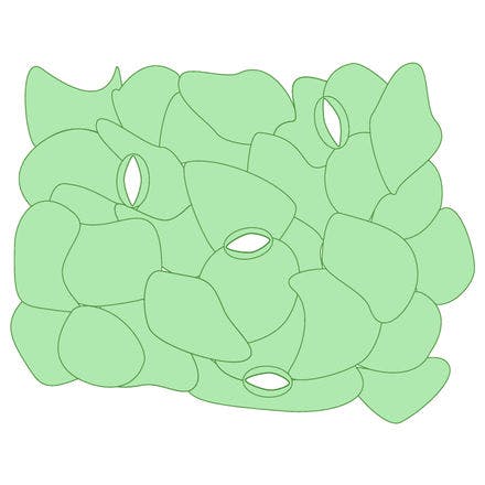 5_1_1_open stomata.png